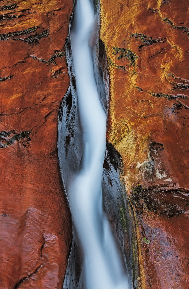 Utah Visions
