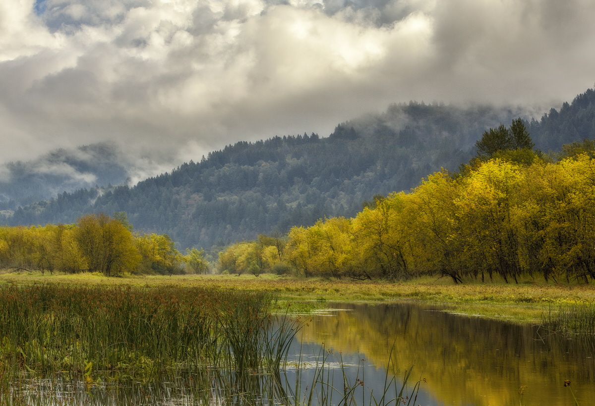 Mirror Pond
