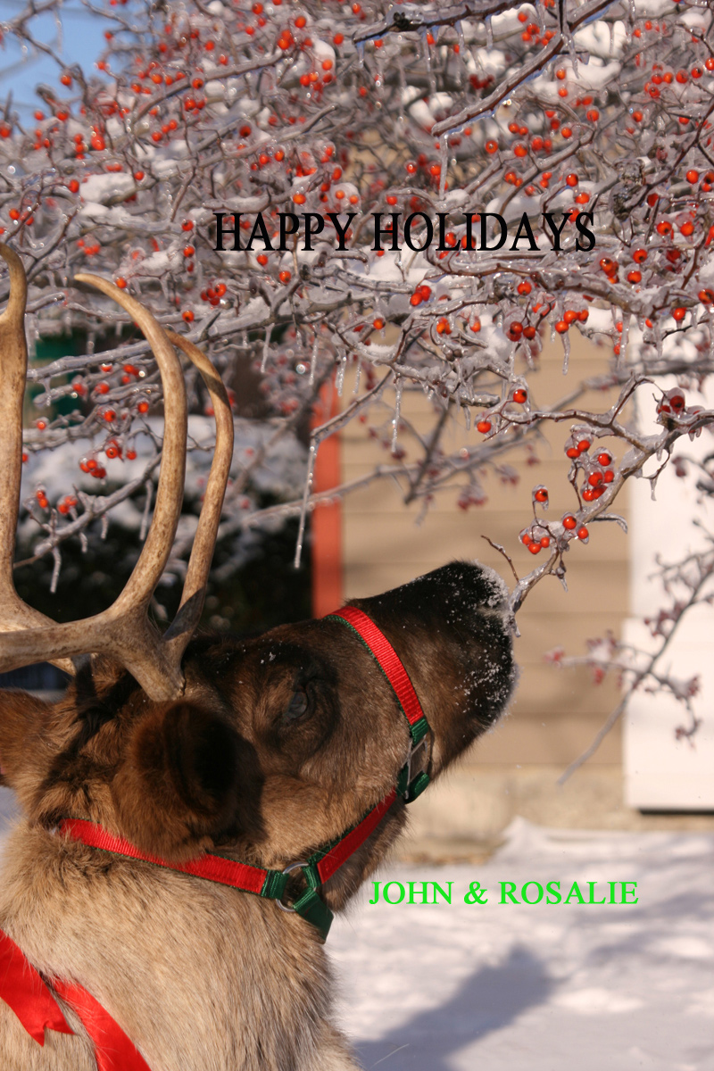 Happy Holidays
