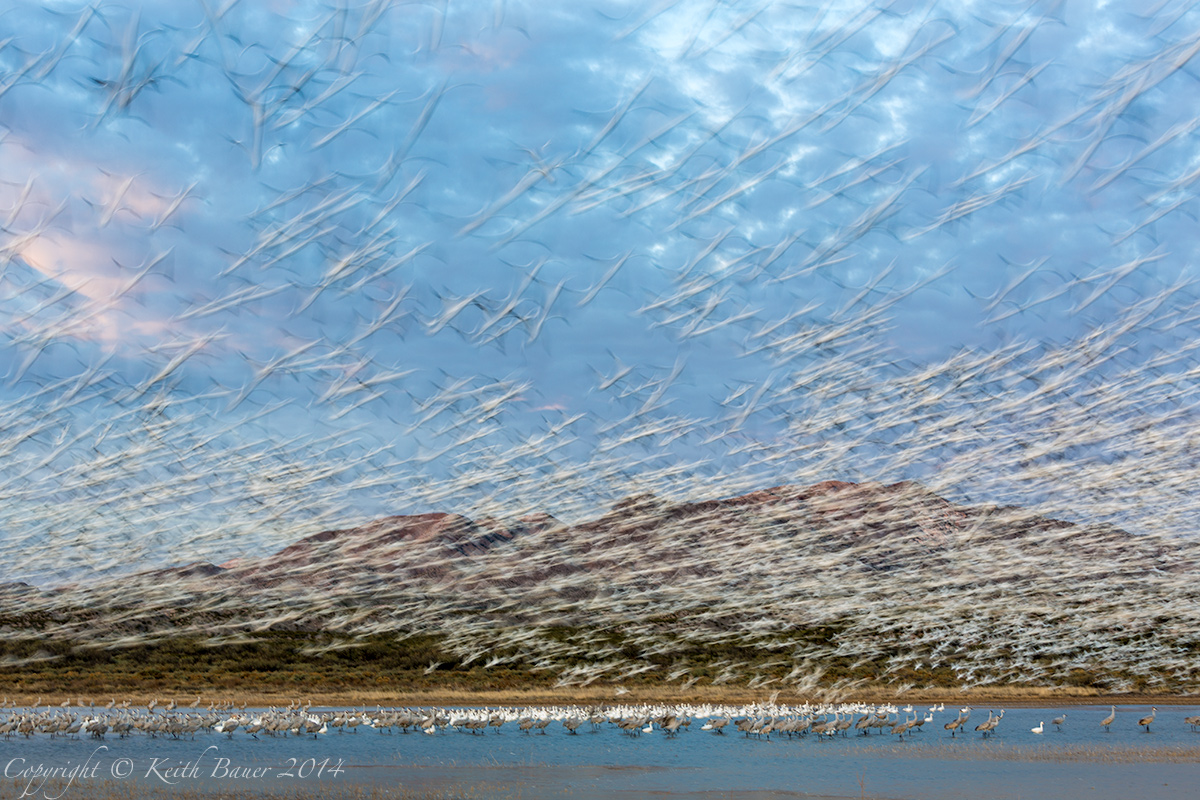 Blast Off at the Bosque