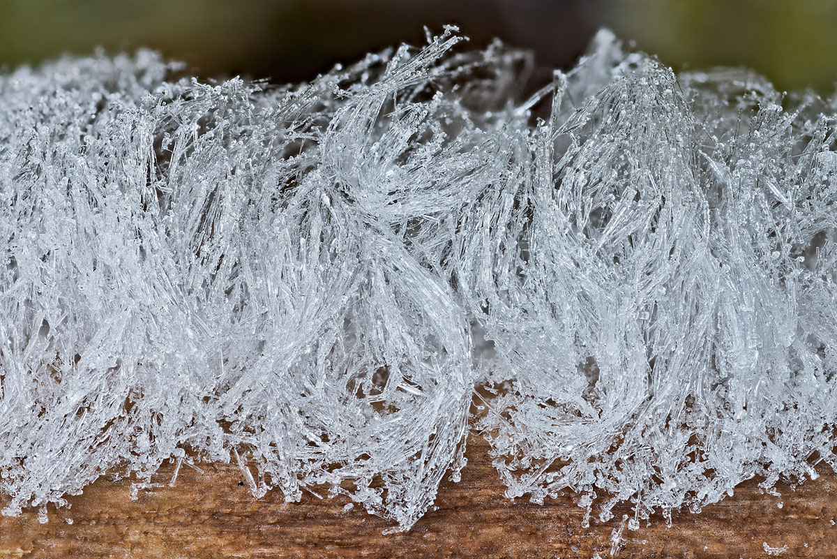 Feather frost