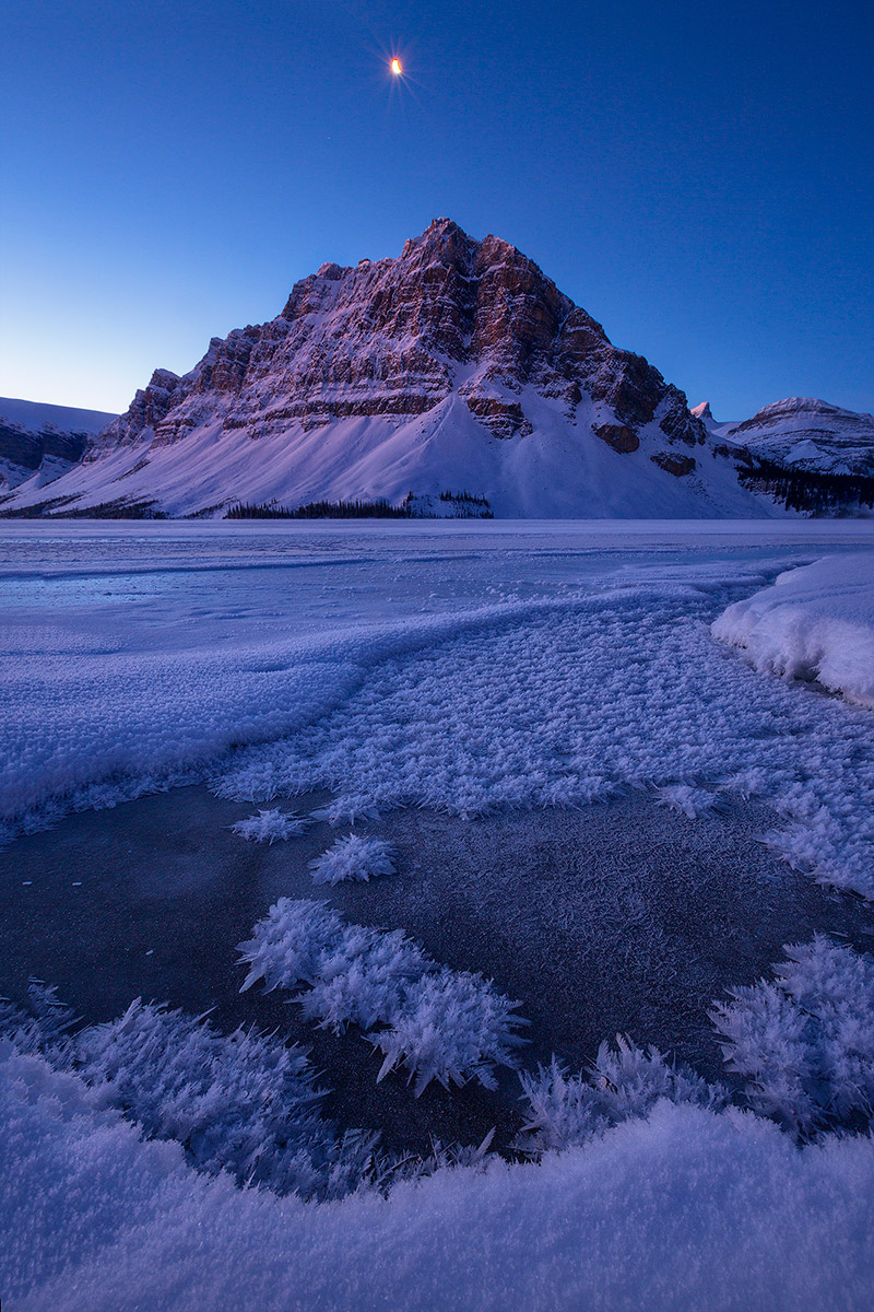 Frosted Dawn