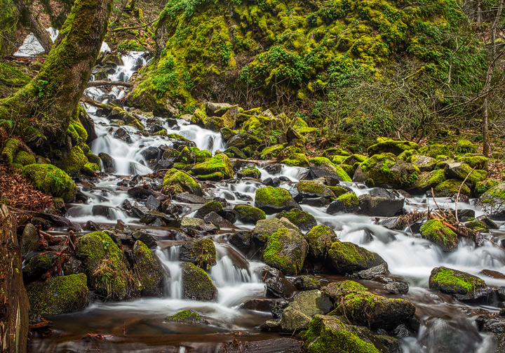 Columbia River Gorge