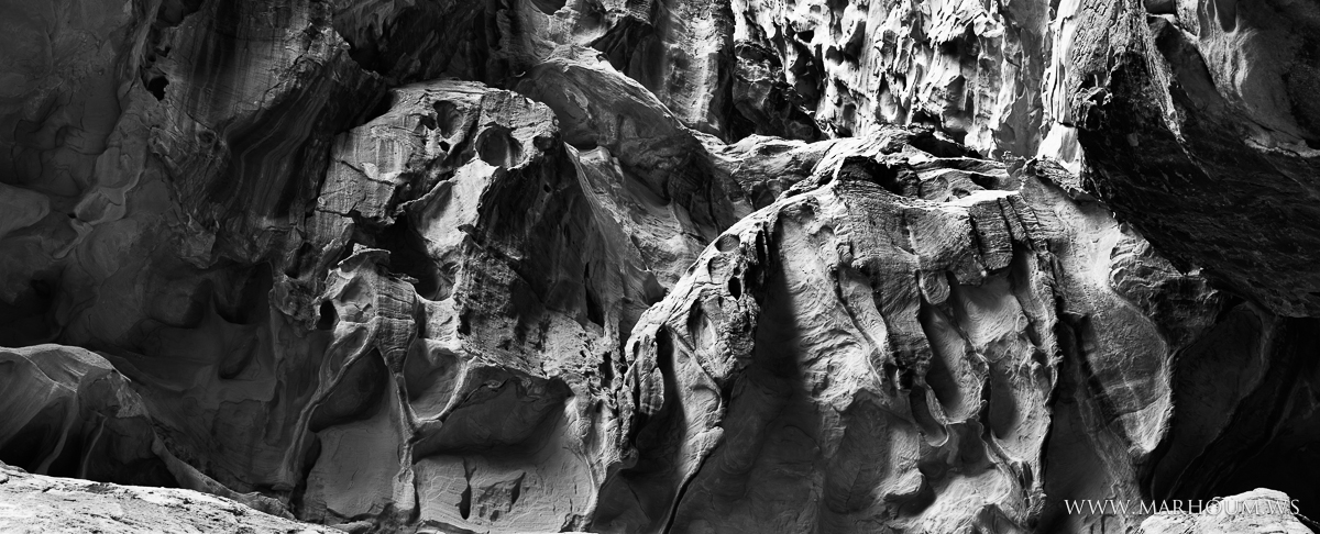 The Beast