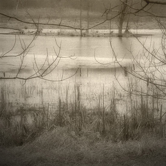 The Marsh