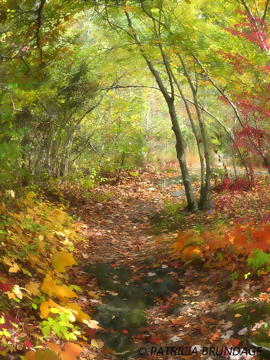 Path to Fall