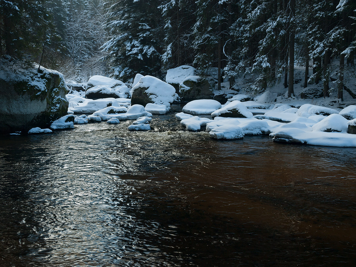 Winter Impression