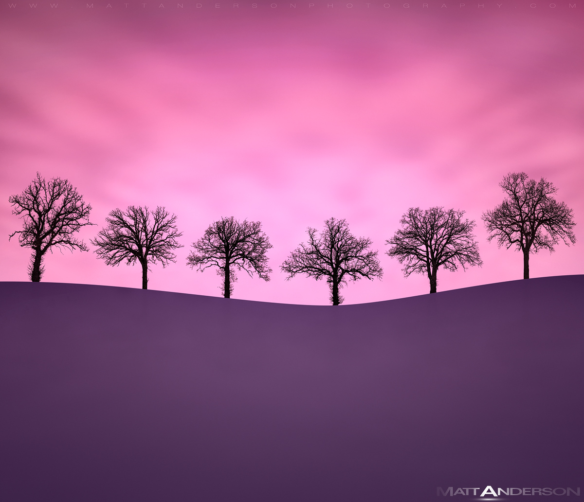 Landscape - 1st Place
