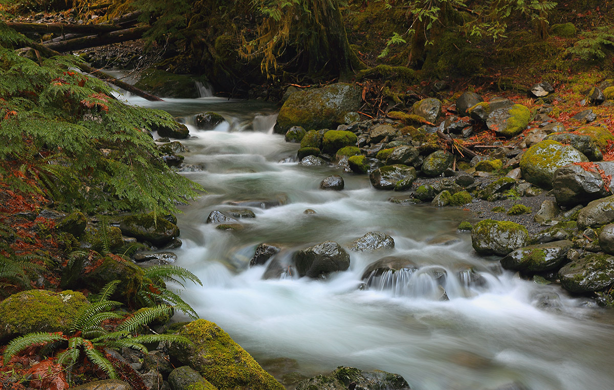 Creek, Olympic mtns.