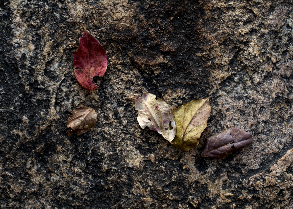 Colors of the Past
