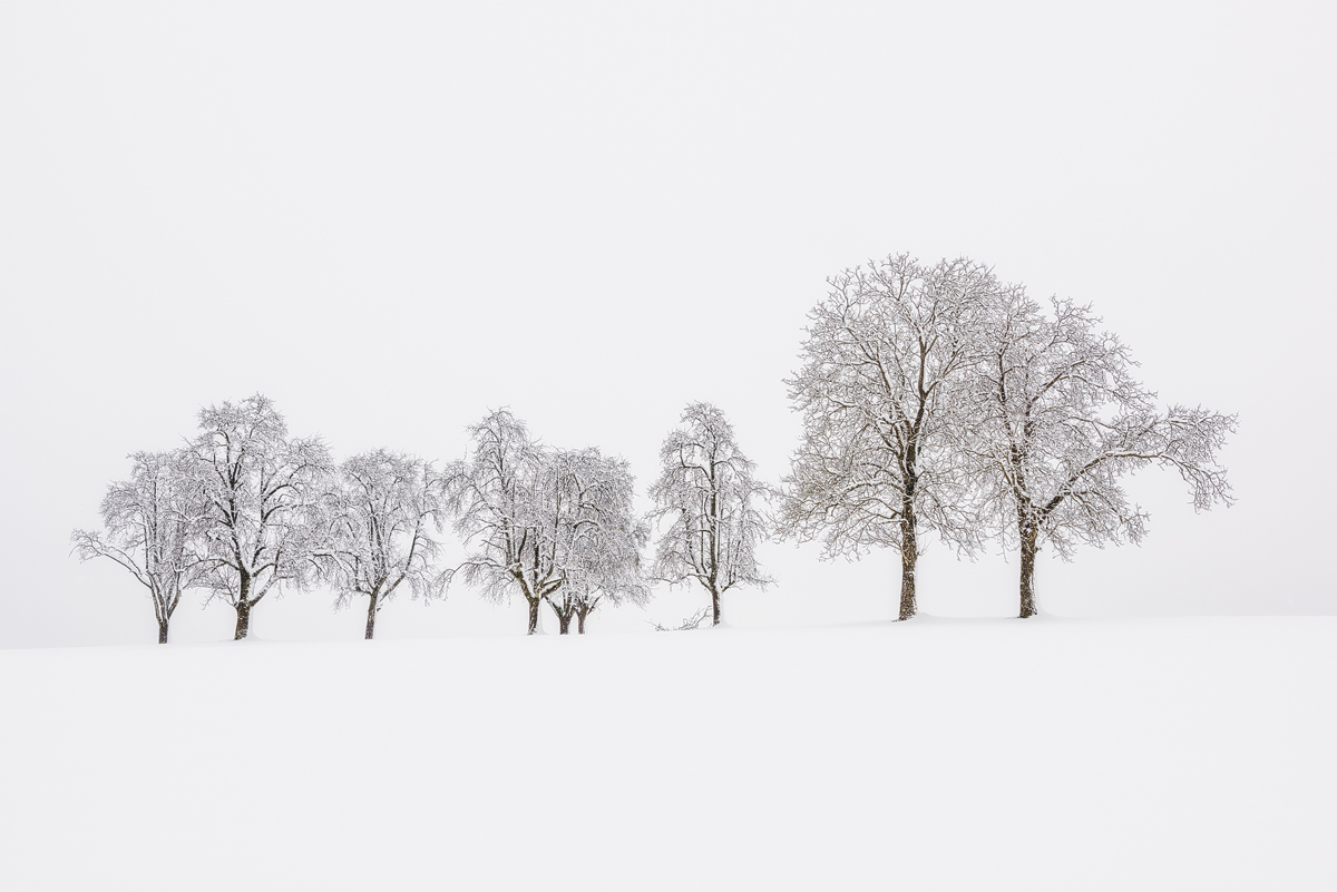 Winter Fairytale