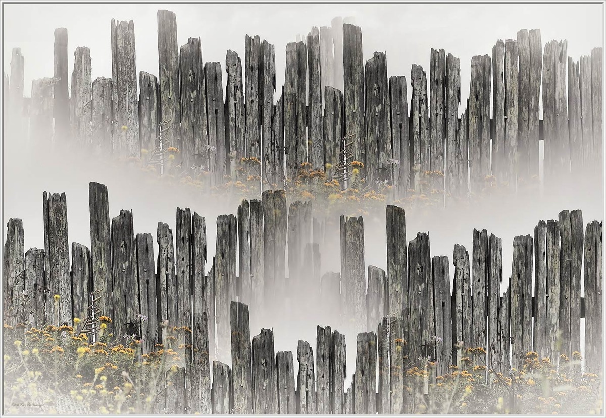 Morning Fog