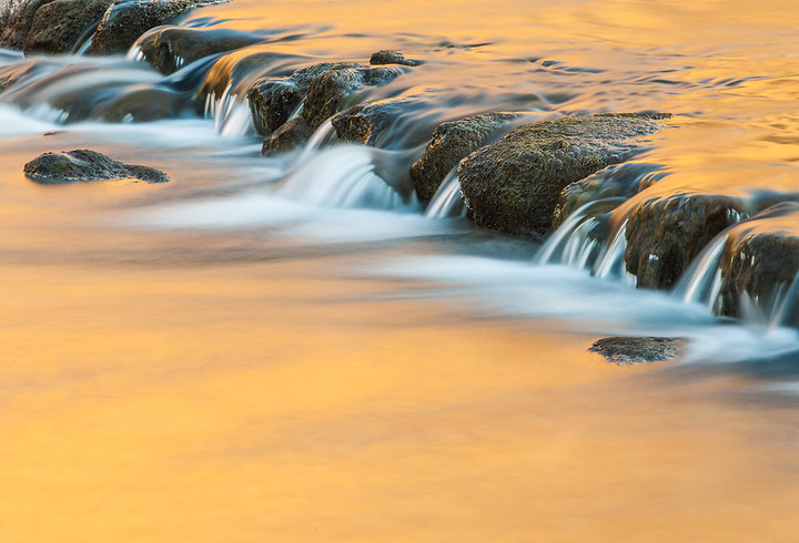 Golden Reflections