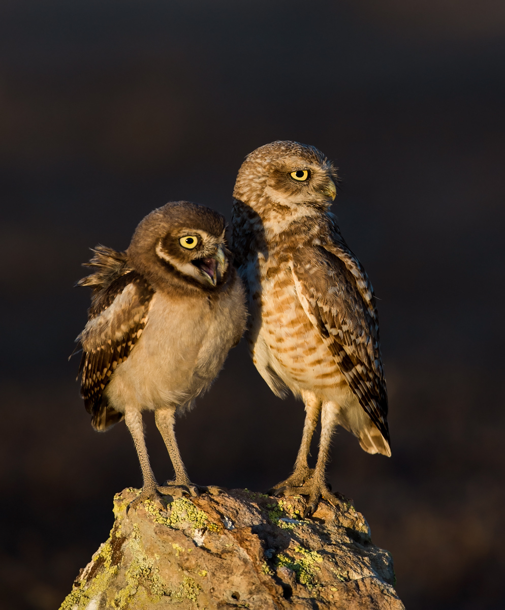 Father and Son