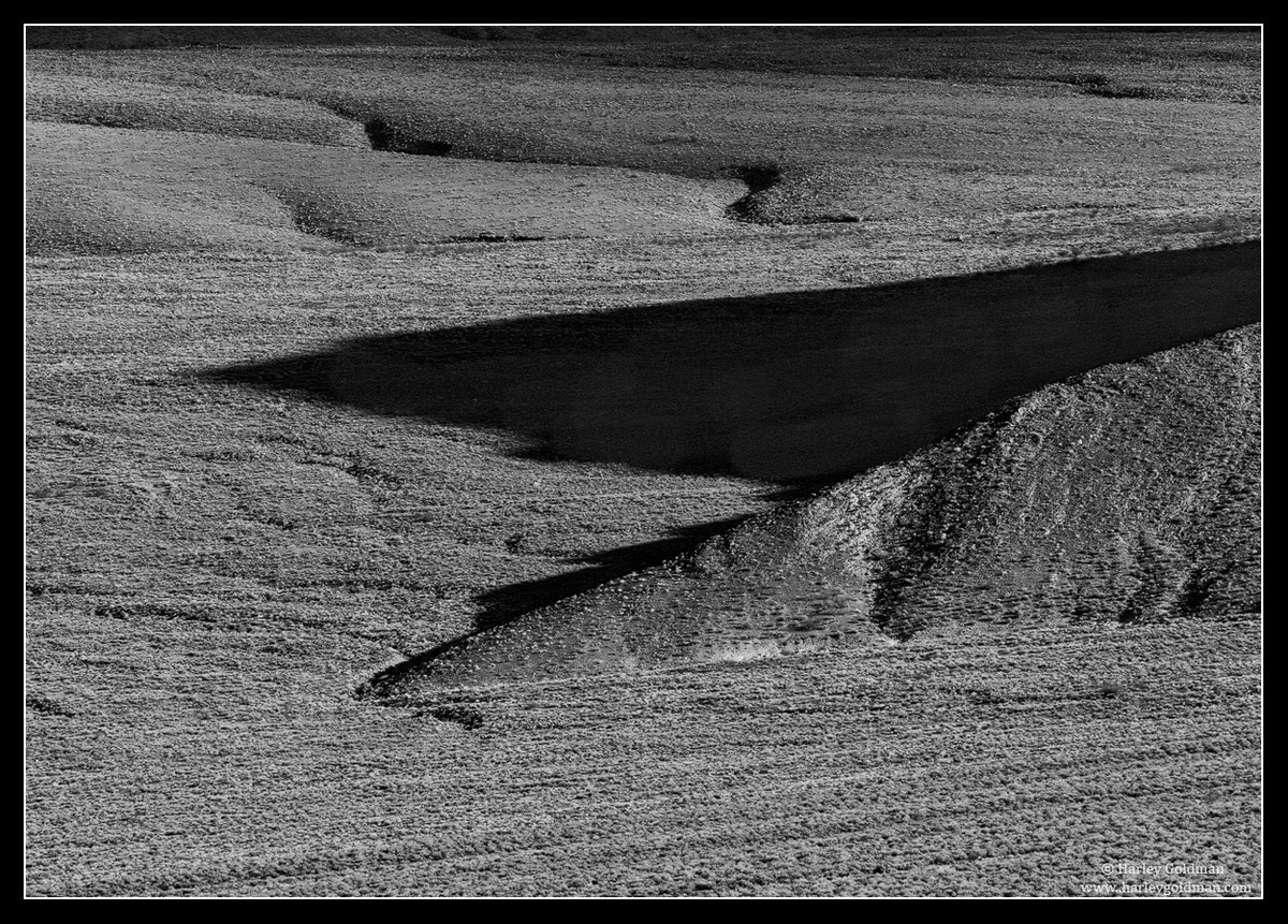 Long Shadows - Abstract