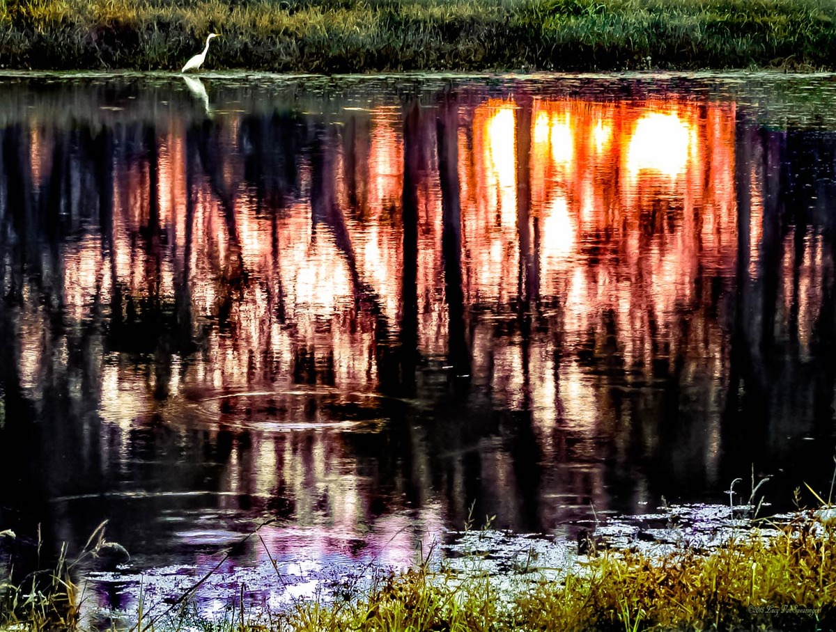 Sunset Next-door