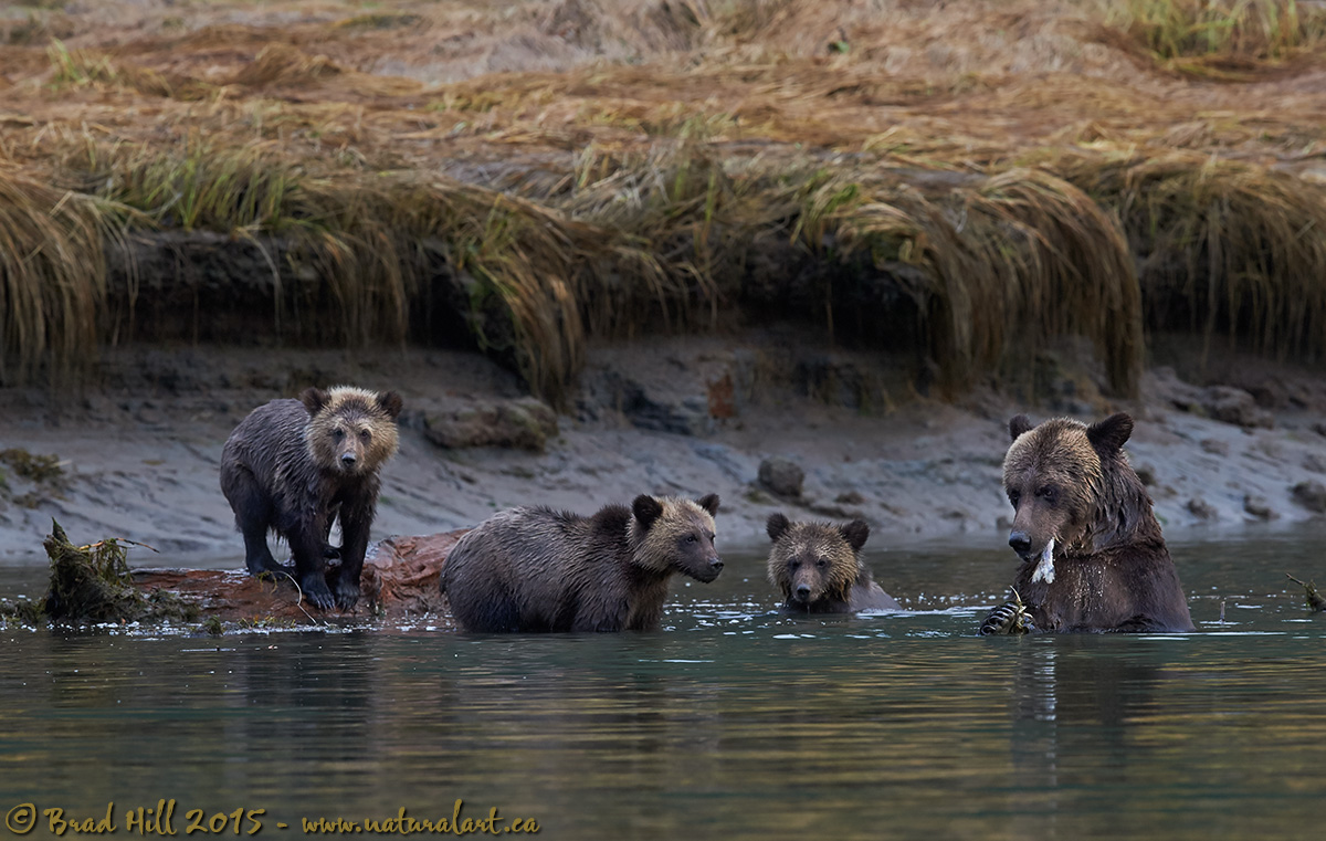 It's a Family Affair...