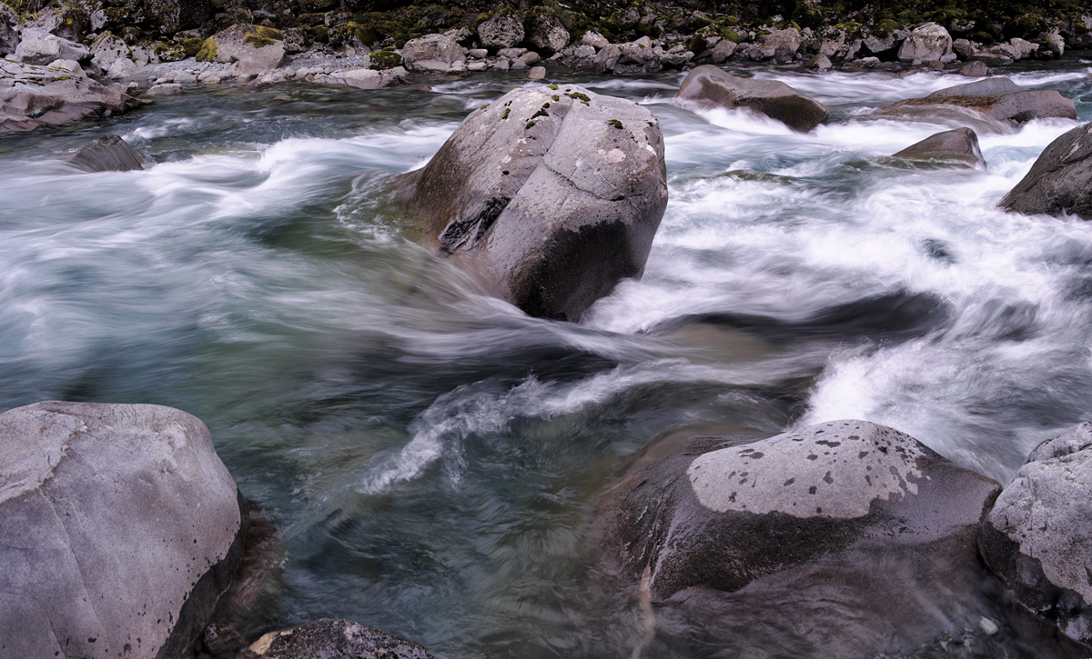 Hollyford River NZ