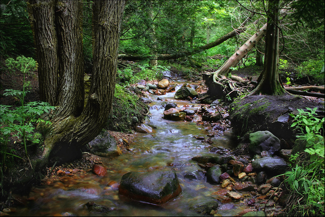 Parfrey's Glen