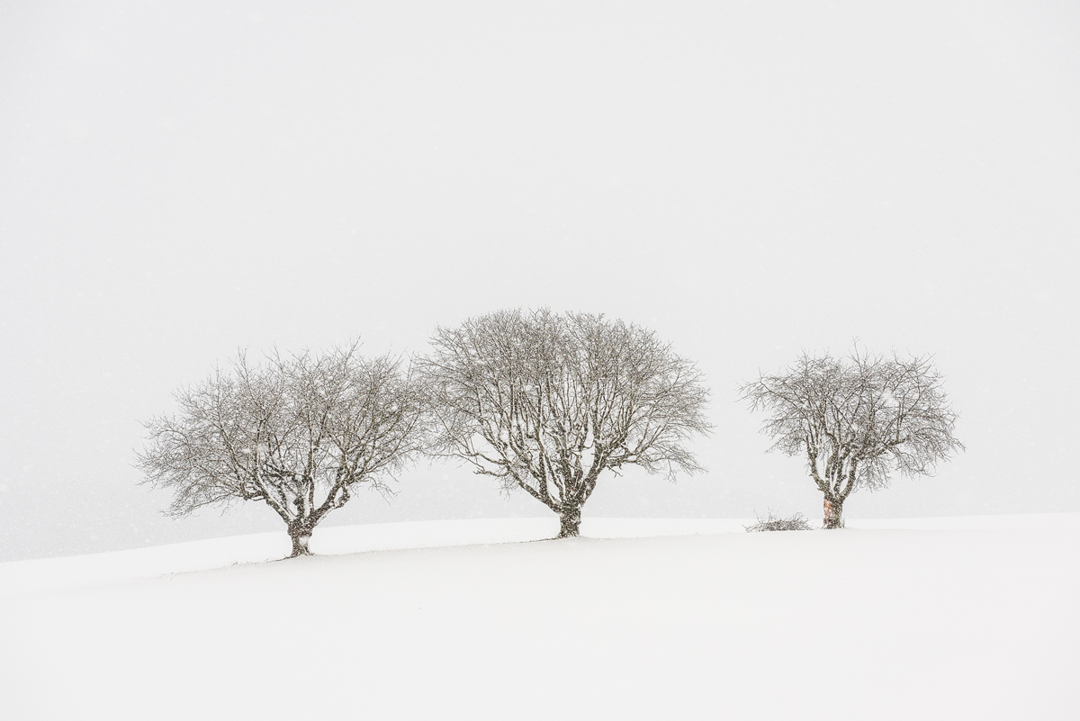 Three Kings