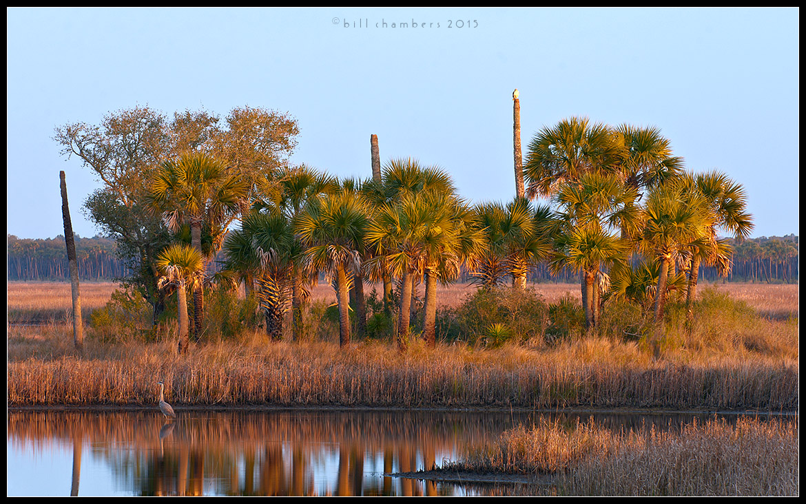 Palm Island