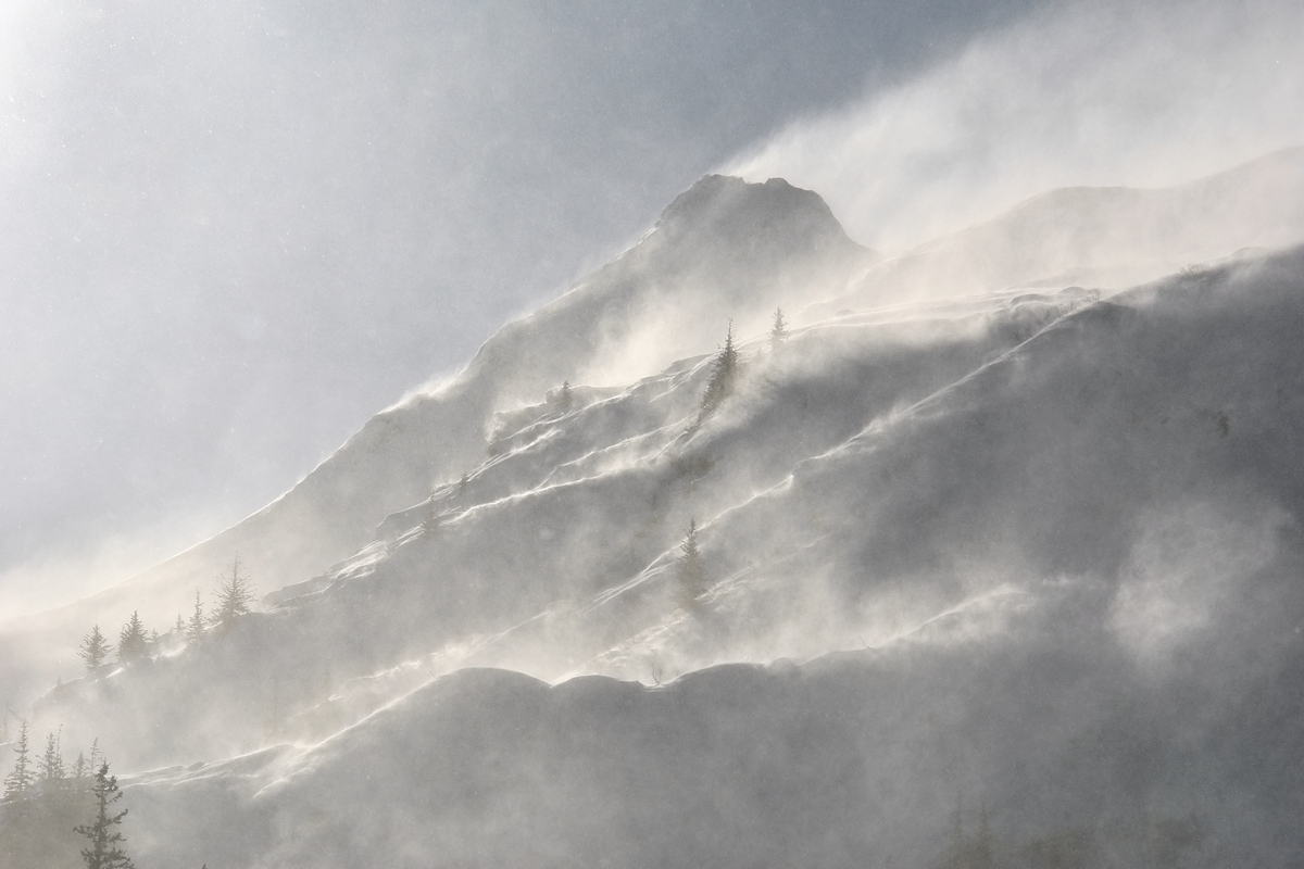 674 - Backlit Blizzard