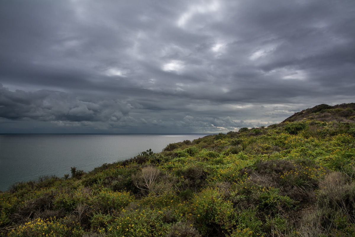 Storm Watch  