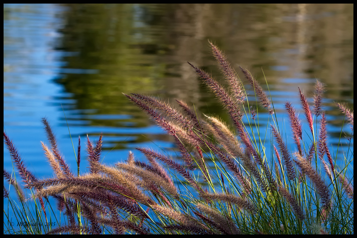 By The Lake