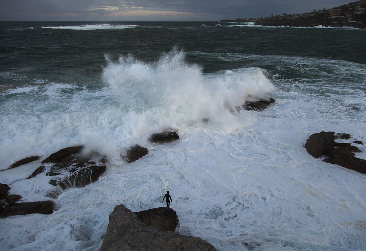 Surf's up!