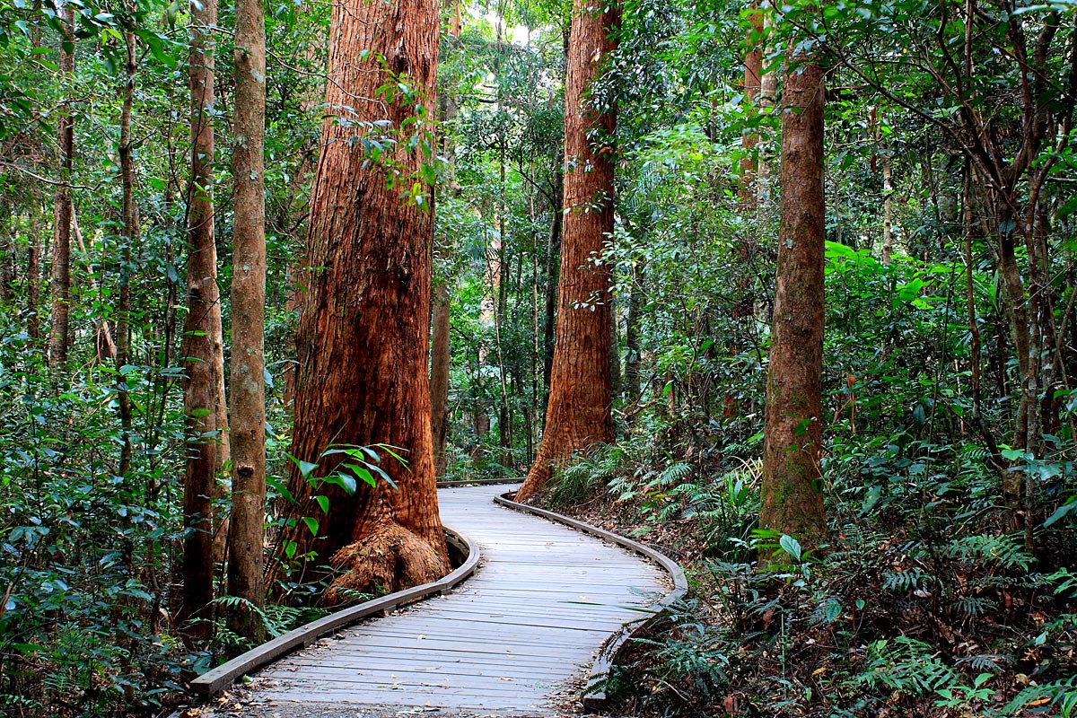 Path