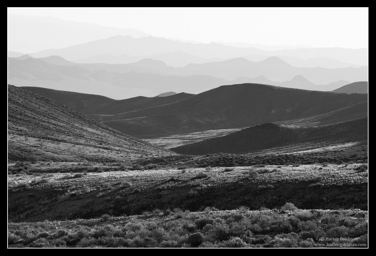 Ridges Forever + Color Version
