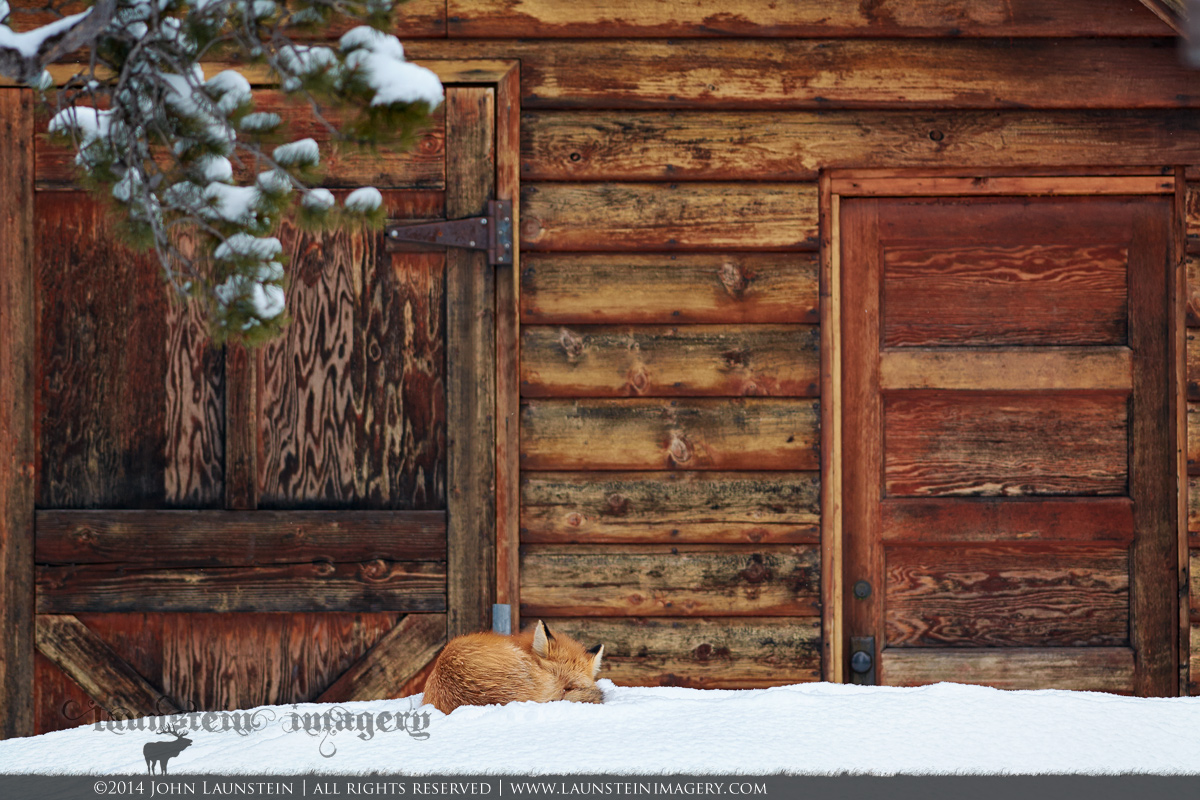A Long Winter's Nap