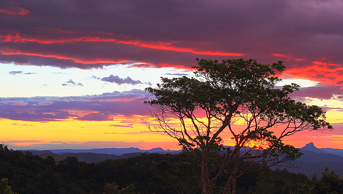 O'Reilly's Sunset