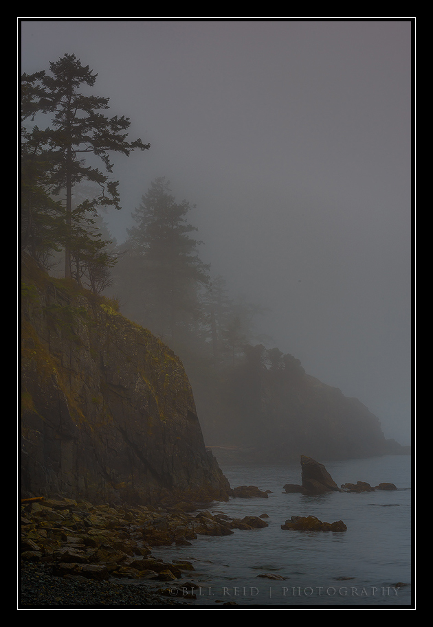 Pea Soup