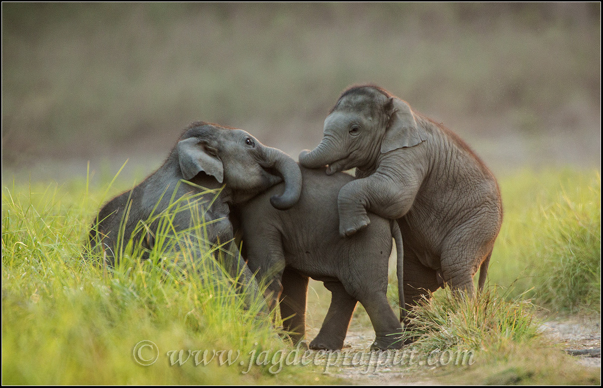 Play Time