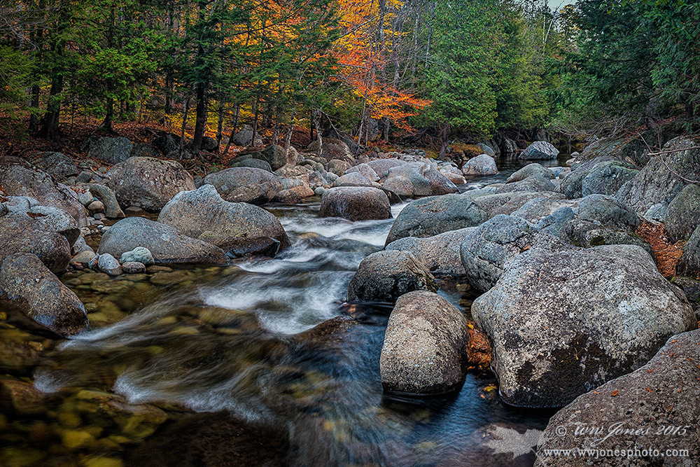 Down the Chute II