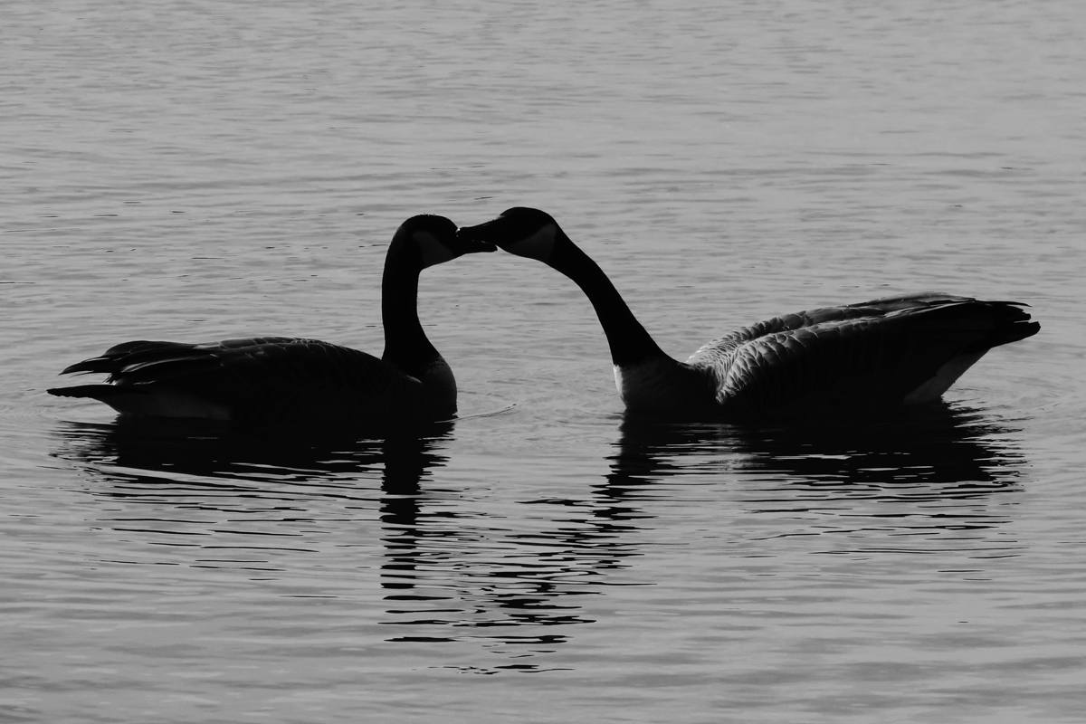 Together