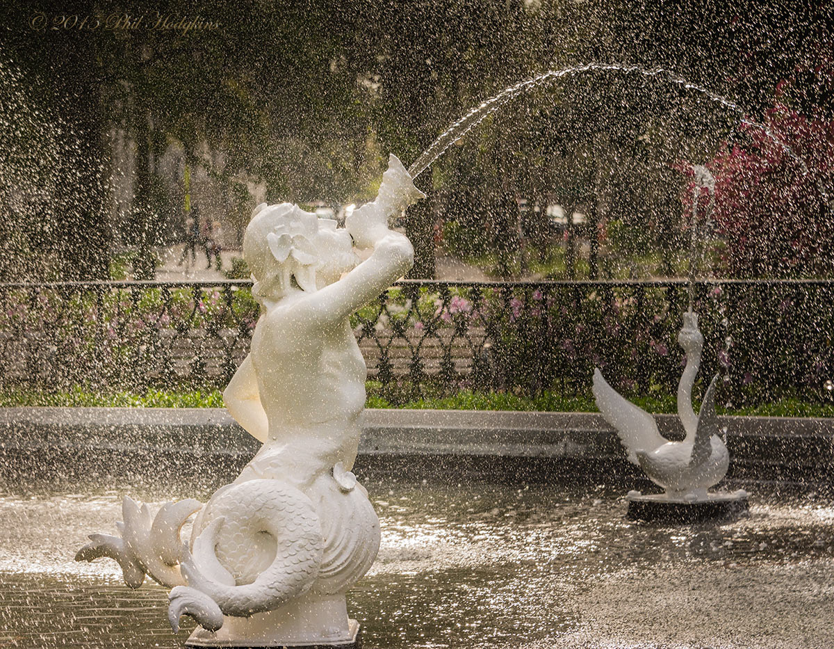 Fountain Detail