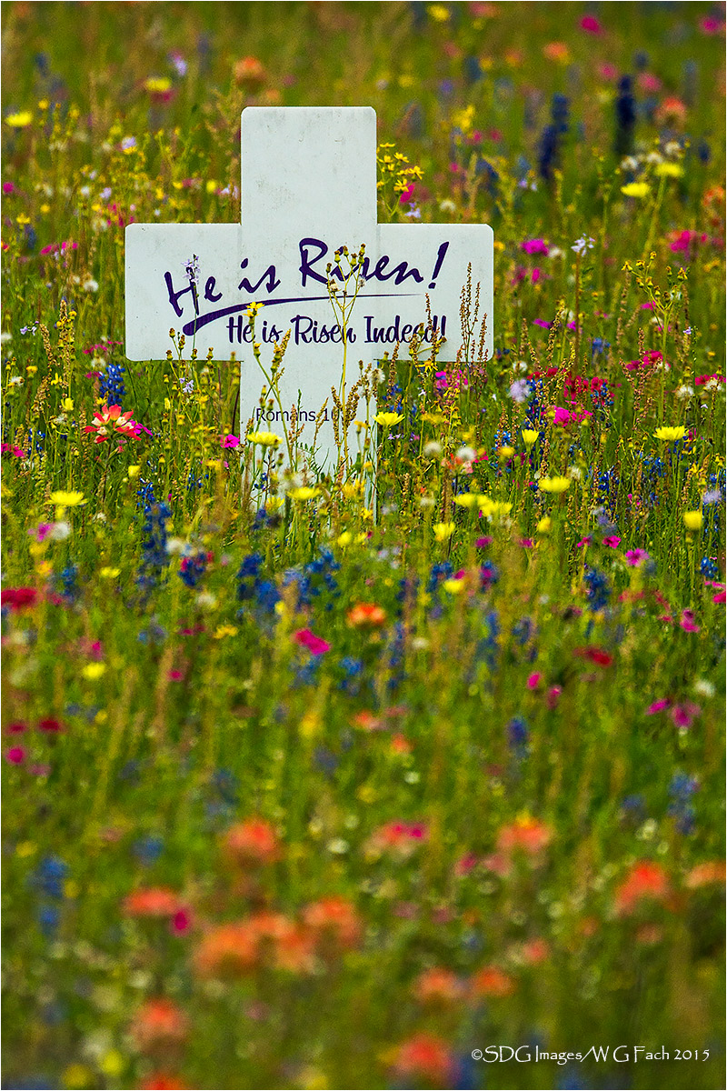 He Is Risen
