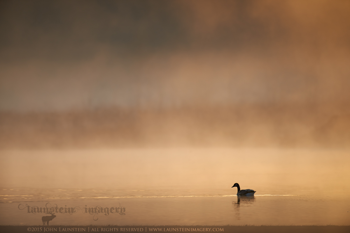 Daybreak