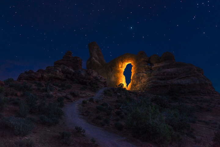 The Portal