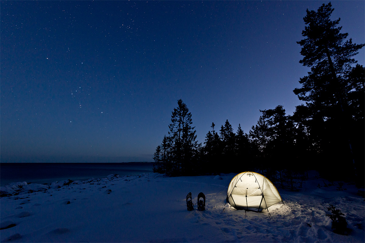Starry twilight