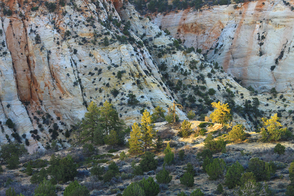 Zion's Last Rays w/ RP