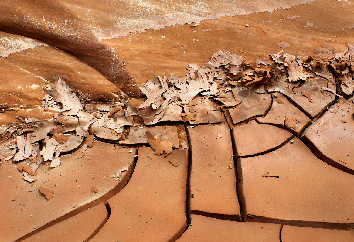 Chocolate Shavings-REPOST