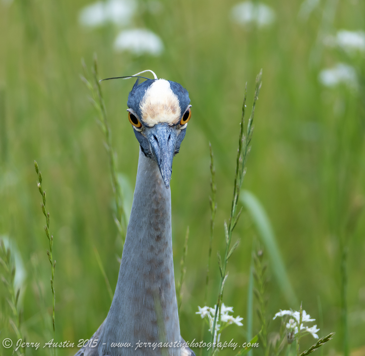 You Lookin at Me?