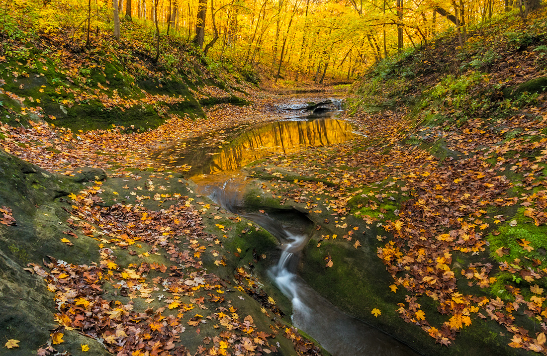Autumn's Inspiration