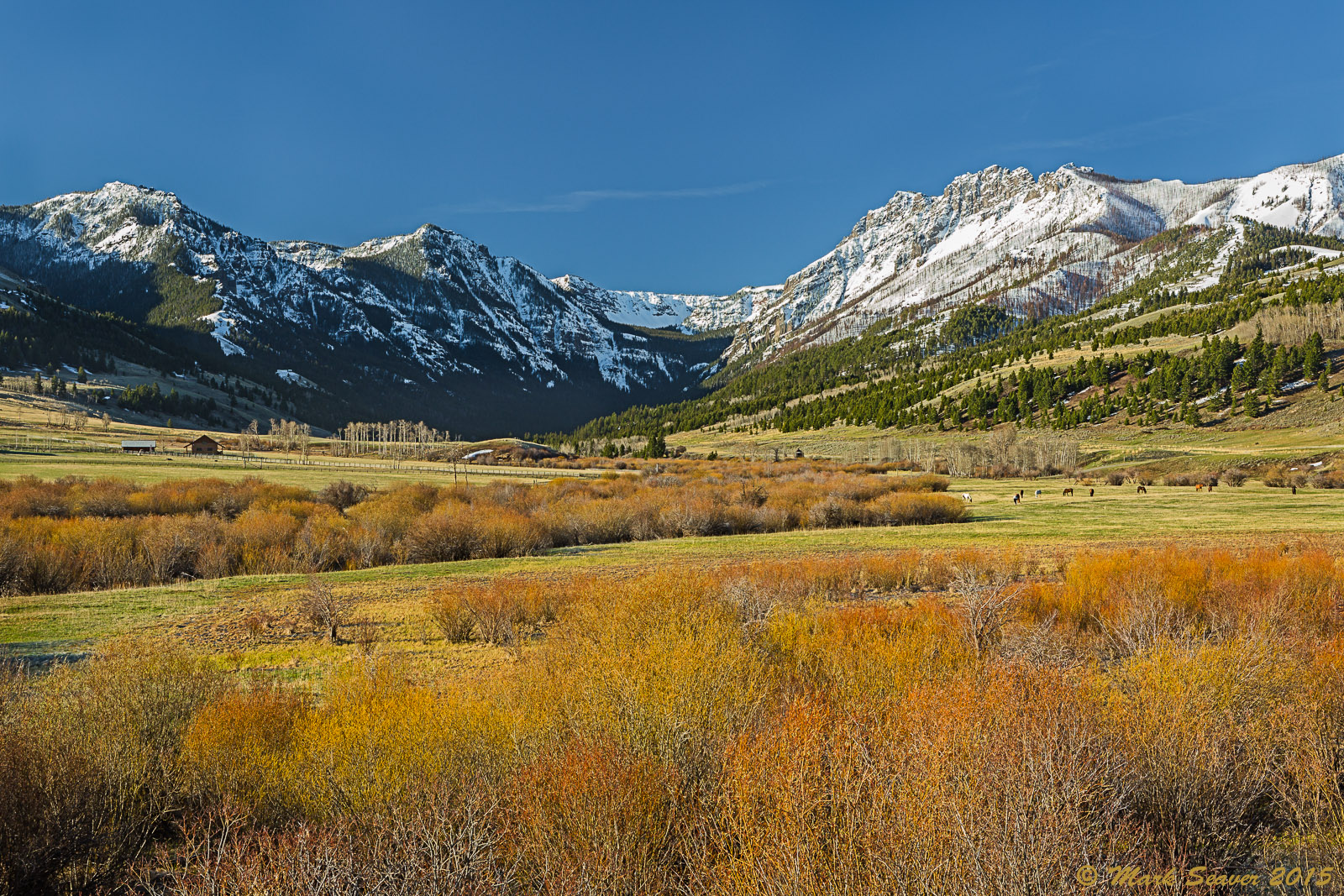 Mountain Spring