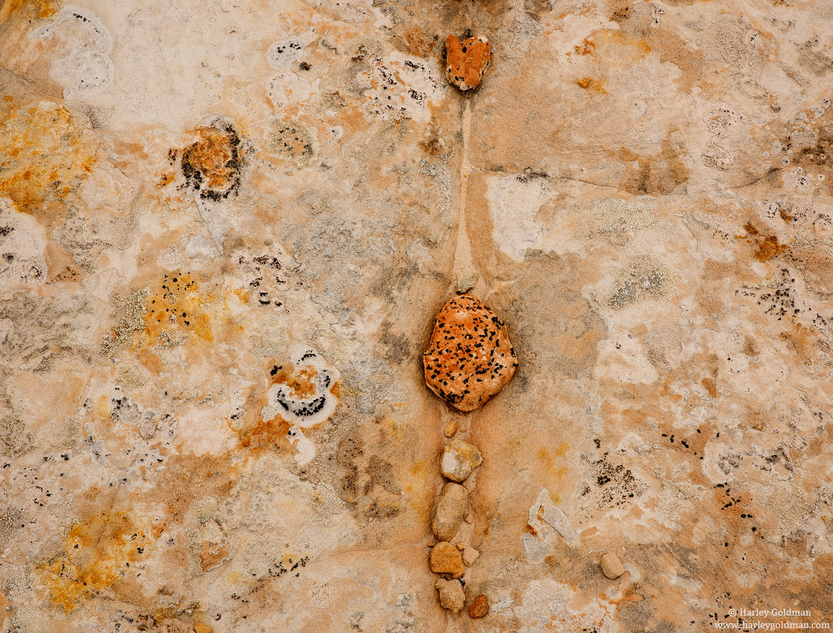 Lichen and Rock