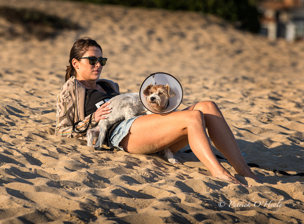 Dog with a girl