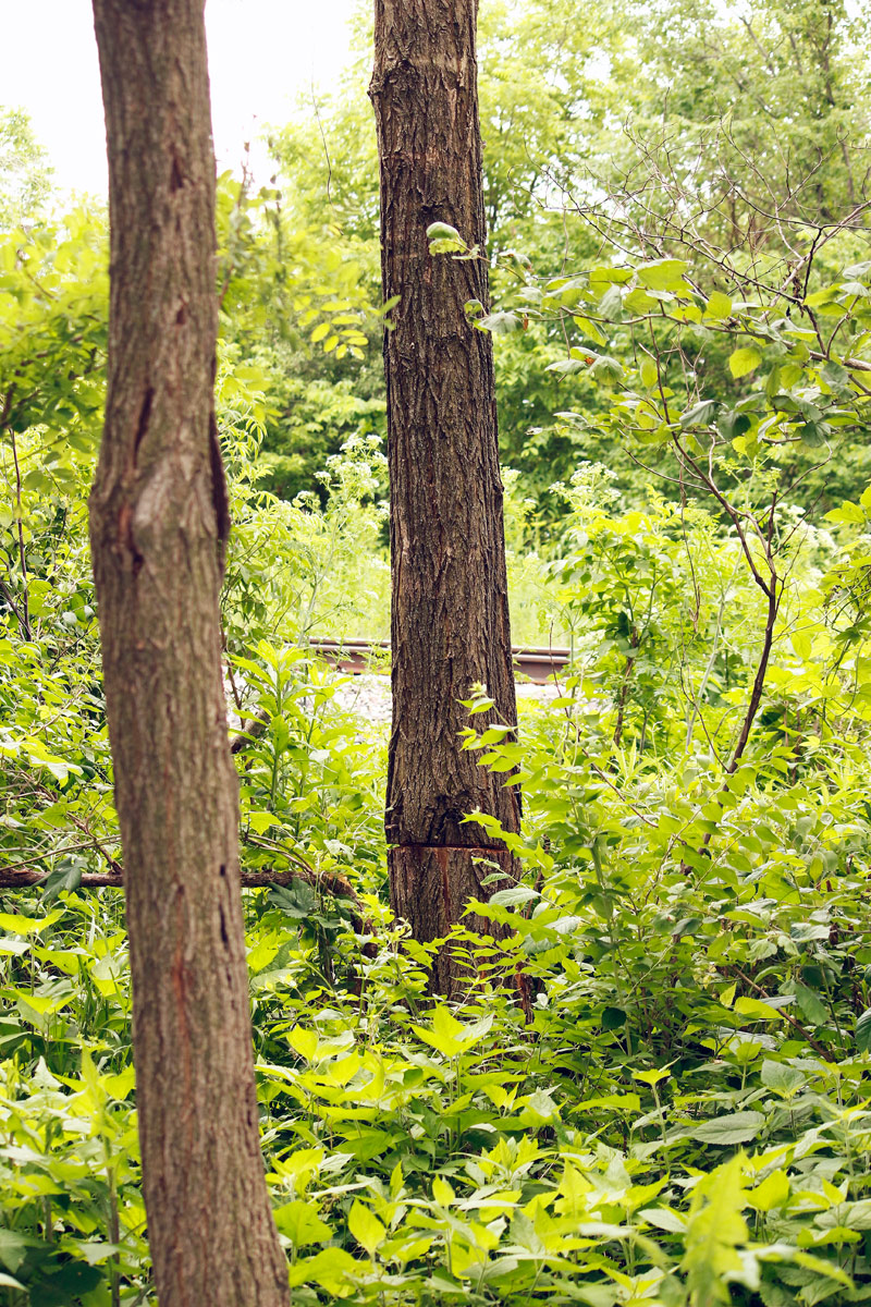 Invasive removal